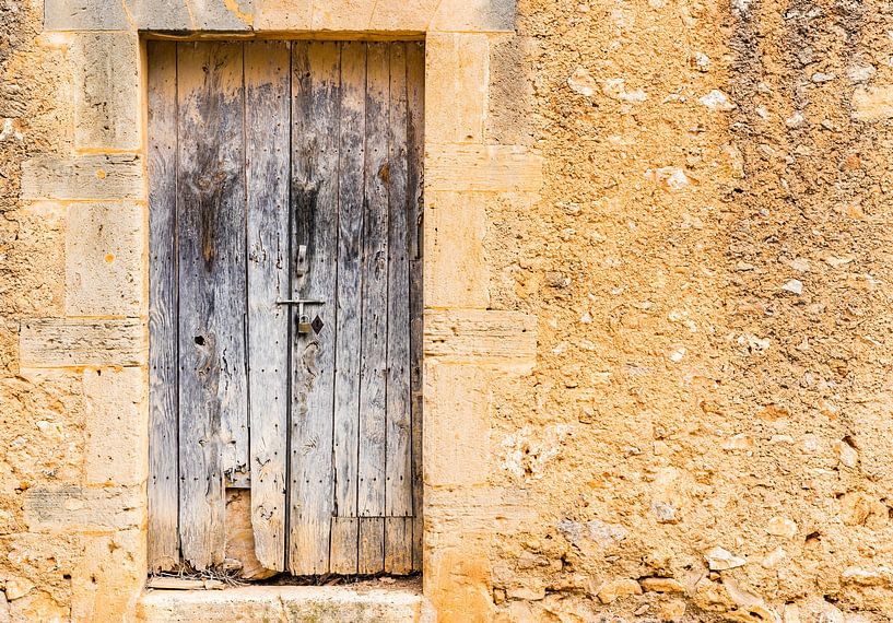 Ancient wooden door and rustic wall background by Alex Winter