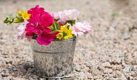 a single bucket full of flowers in nature in the spring