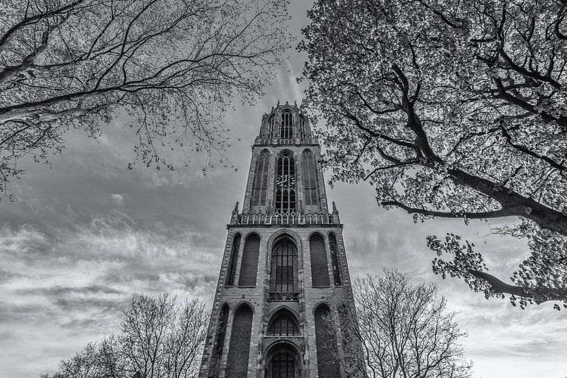 Tour Dom Utrecht depuis le Domplein par une journée ensoleillée - noir et blanc par Tux Photography