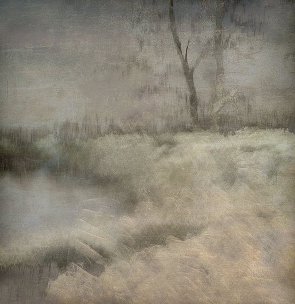 Kleine ven von Nel Talen