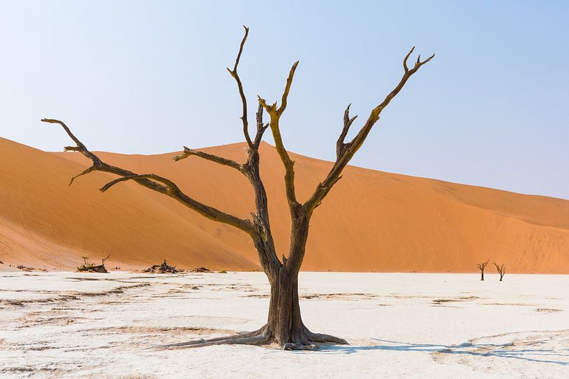 La Namibie : une terre d'extrêmes et de beauté à couper le souffle. par Patrick Fotografeert