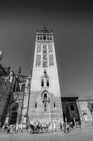Giralda toren, Sevilla in zwart wit