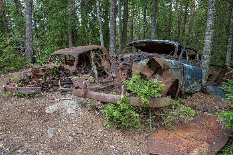 Autofriedhof im Wald in Ryd, Schweden von Joost Adriaanse