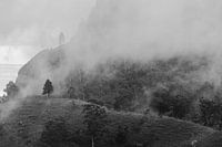 Nebel auf Adams Peak
