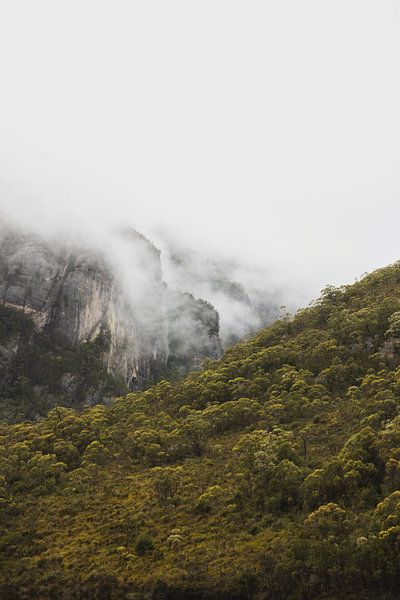 Cradle Mountain: Tasmanien&#039;s atemberaubende Wildnis von Ken Tempelers