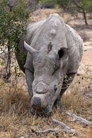 Photos taken during our three-week tour of South Africa