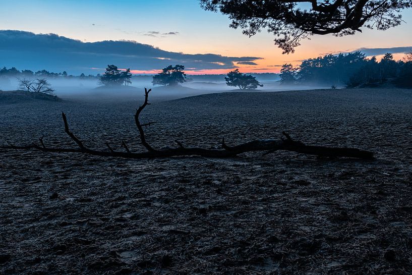 Sandhügel von leon brouwer