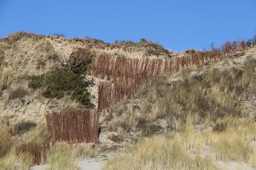 Eine Düne in Zeeland von Jose Lok