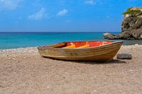 Boot op tropisch strand