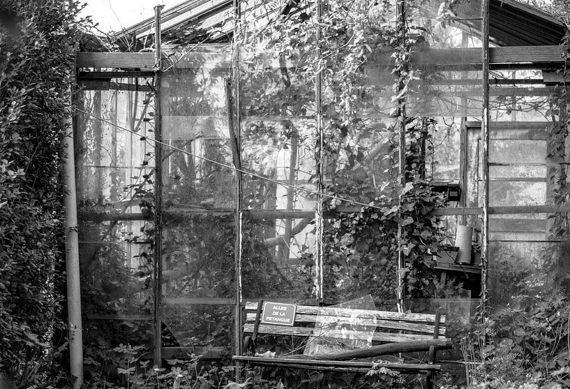 beauté éclatée par Thomas Depauw