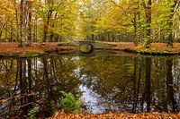 Oude Hof in Bergen mit herbstlich gefärbten Bäumen und einer kleinen Brücke