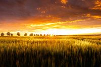 When the Sun goes Up...