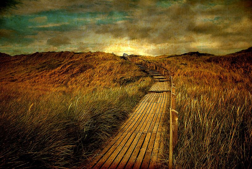 En route vers la plage par Hannes Cmarits