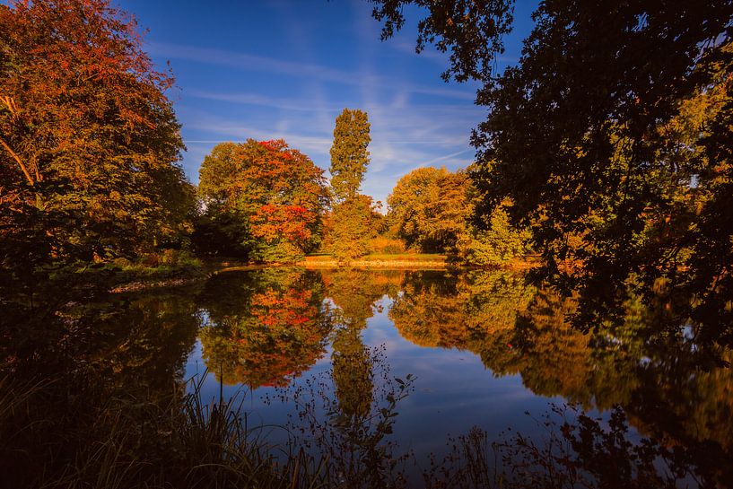 Herfstweerspiegelingen von Christel Stevens
