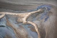 Wit paard van de Camargue