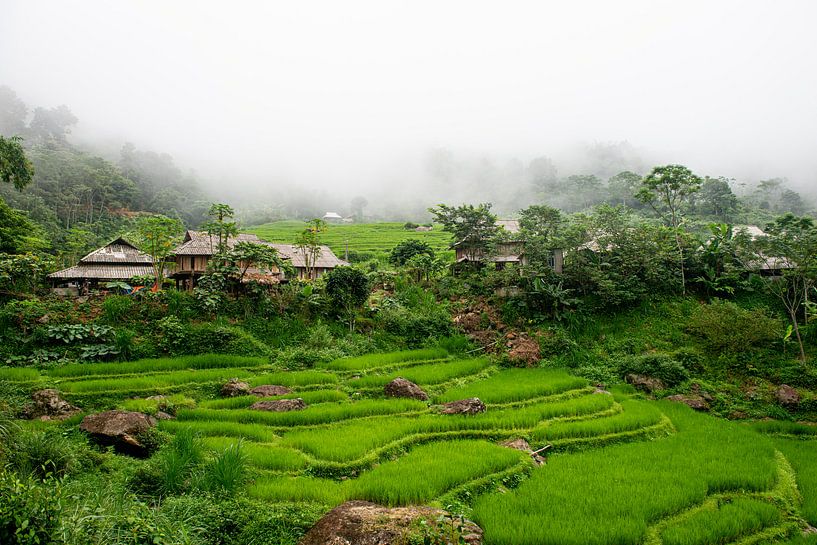 Berggipfel mit Reisfeldern in Pu Luong, Vietnam von Ellis Peeters