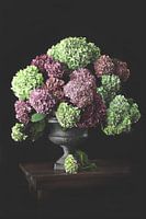 Hortensia stilleven stijl Oude Meesters