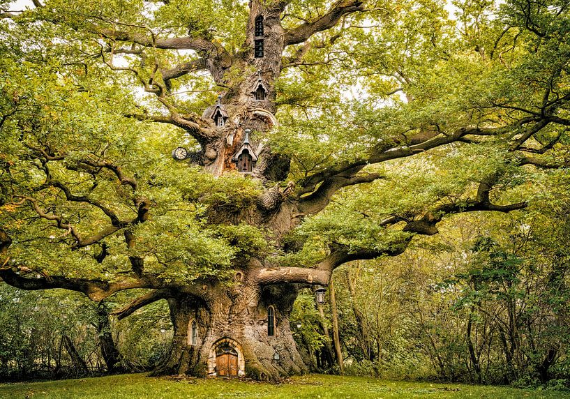 with Elven Eyes #44 by Lars van de Goor