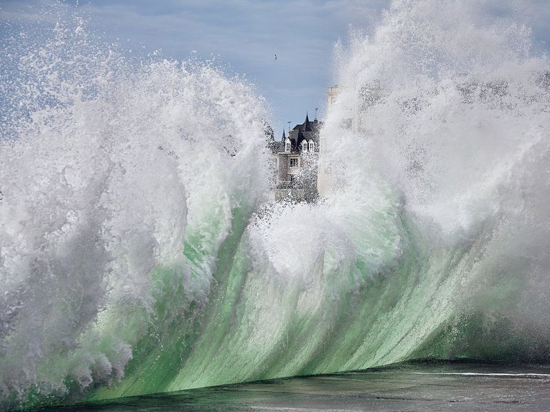 Die Kraft der Natur von Marloes van Pareren