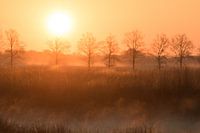 lever de soleil avec un bord d'or