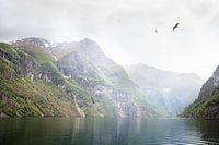 Der Naeroy-Fjord im Nebel, Norwegen