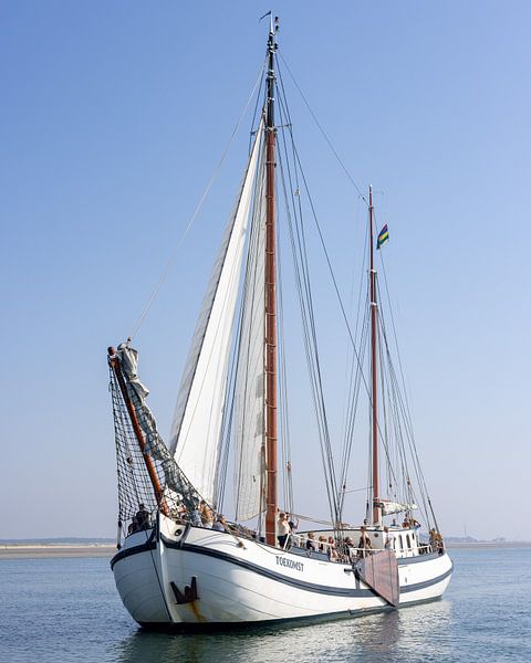 Sailing vessel 'Future' by Edwin Kooren