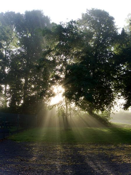 Sonnenaufgang im Herbst von joyce kool