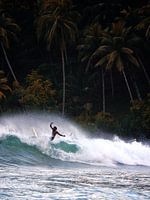 Paradise Surf