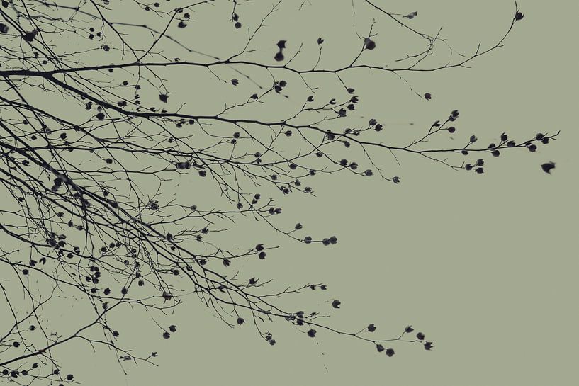 Unter dem Baum sitzend Moosgrün von Monika Strigel