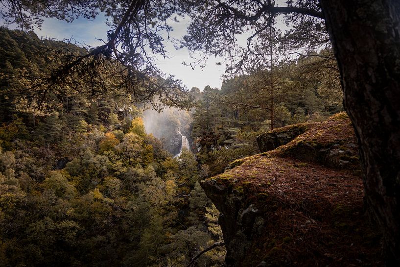 Sturz des Foyers von Theo Fokker