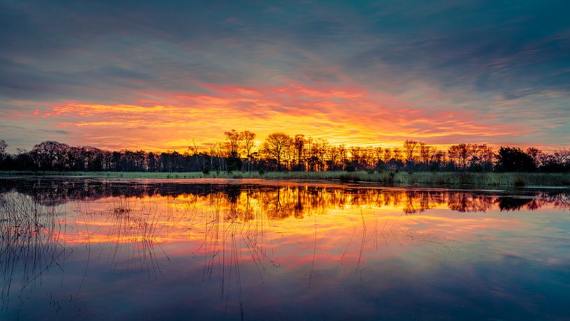 Klotterpeel par Harold van den Hurk