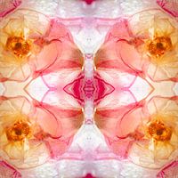 Gefrorener Mohnvogelkopf