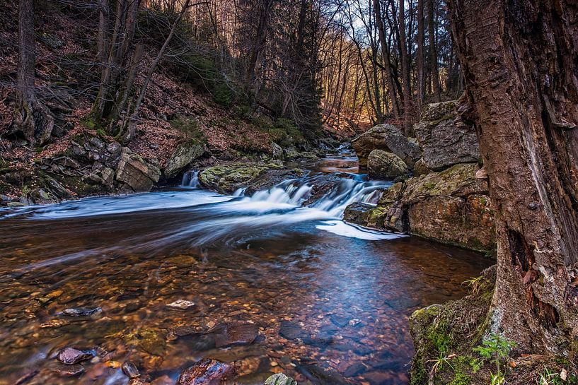 Bergfluss La Hoëgne von Rob Boon