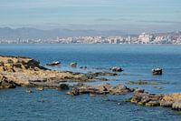 Santa Pola, von der Insel Tabarca aus gesehen