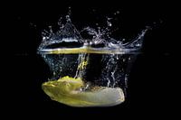 chicory in water going down