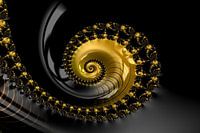 Fraktal Muschel Schwarz Gold