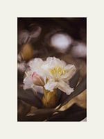 Vintage-Look der Blumen.