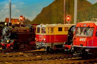 Le monde des trains miniatures
