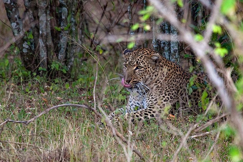Abwarten von Peter Michel