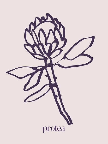 Lumina Series No 27 by Treechild