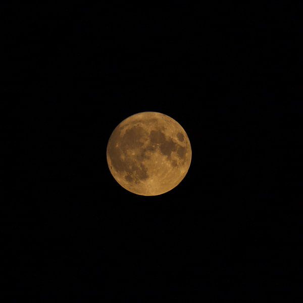 Supermond orange 30-08-2023 von G. van Dijk