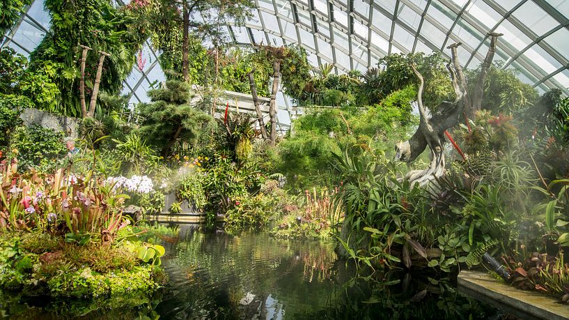 Cloud Forest - Singapore von Raymond Gerritsen