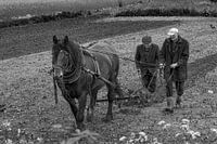 With the draft horse and hand to the plough black and white