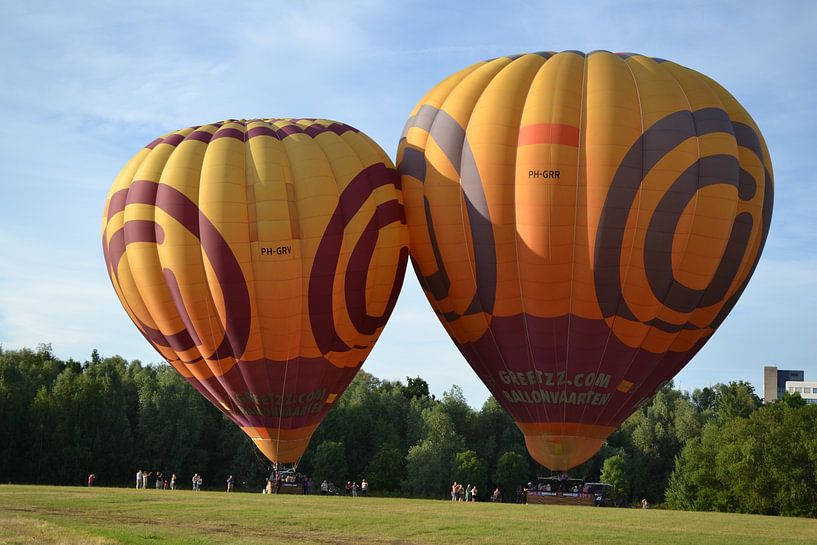 Hot Air Balloons by R Schloesser