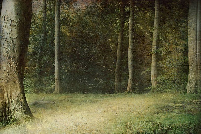 Waldweg by Heike Hultsch