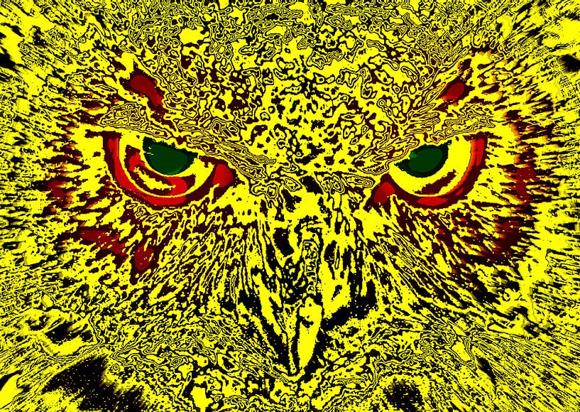 Owl's face by Leopold Brix