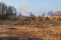 The Weerribben and Wieden; a cane cutter at work!