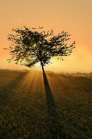 Träumen Sie davon, groß zu werden.