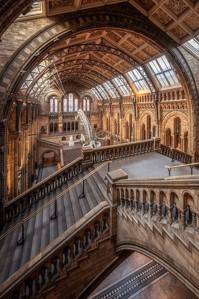 Natural History Museum by Photo Wall Decoration