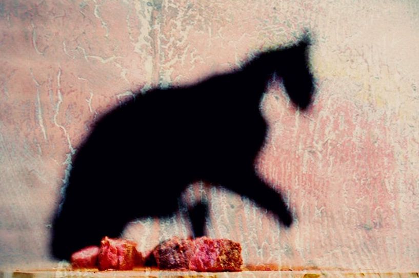 After diner by Margreet Faber